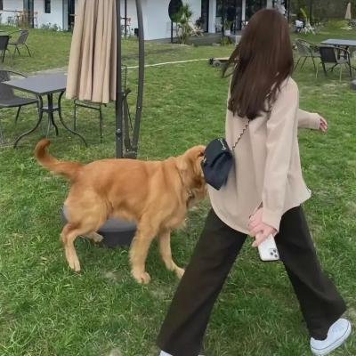 咪走堂